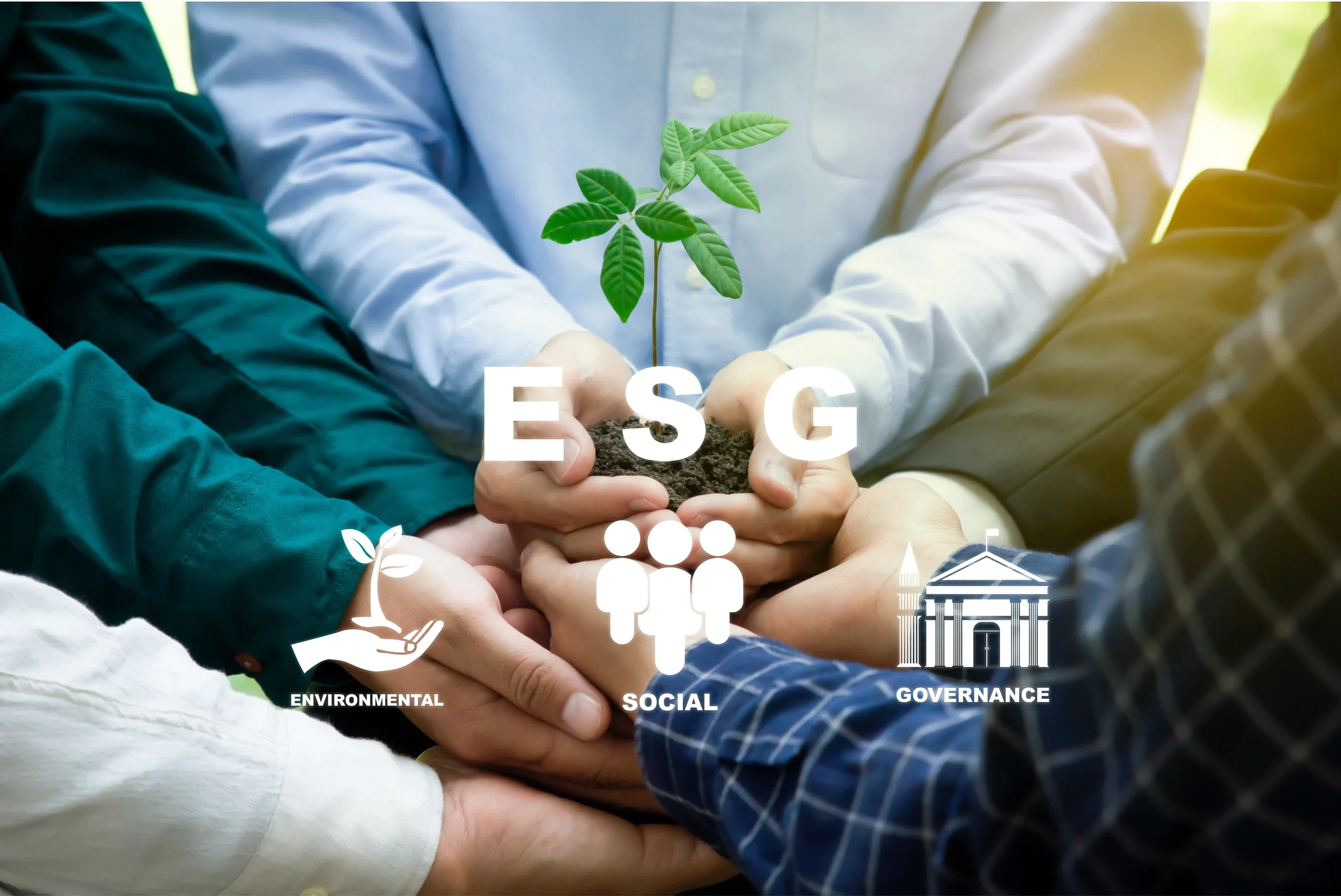 Esg永續行銷關鍵：創造品牌與消費者深度連結